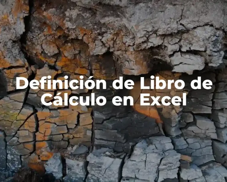 Definición de Libro de Cálculo en Excel
