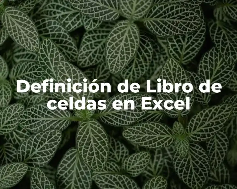 Definición de Libro de celdas en Excel