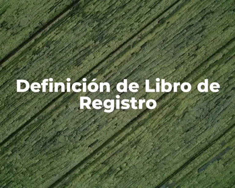 Definición de Libro de Registro