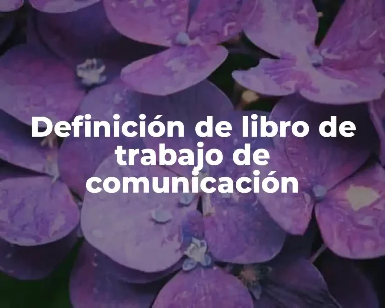 Definición de libro de trabajo de comunicación