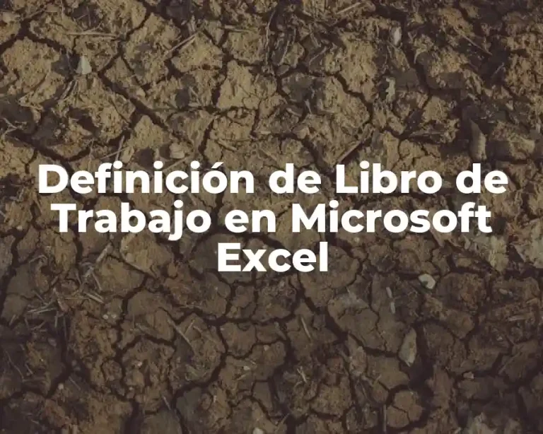 Definición de Libro de Trabajo en Microsoft Excel