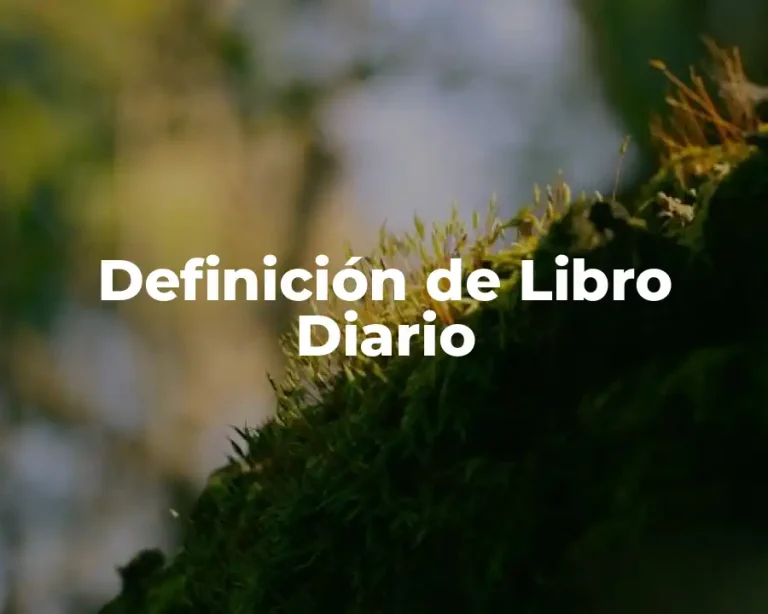 Definición de Libro Diario