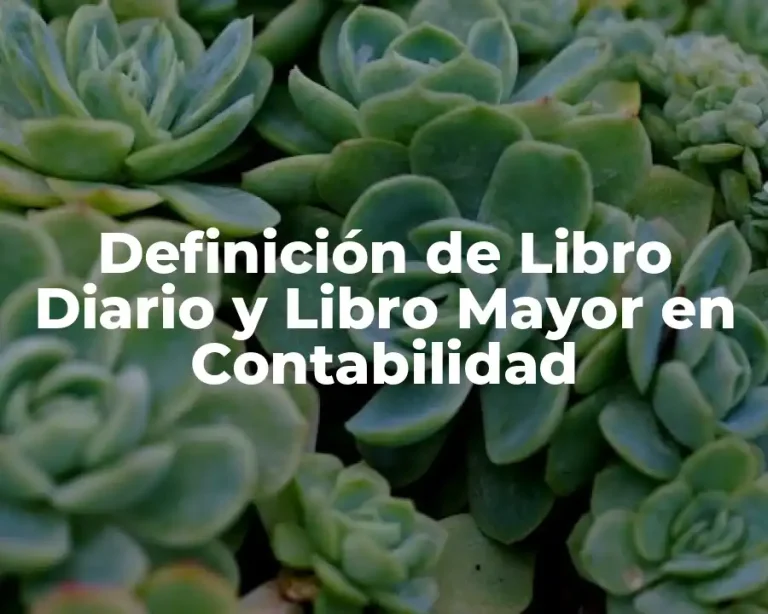 Definición de Libro Diario y Libro Mayor en Contabilidad