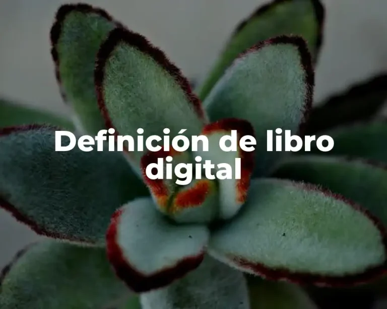 Definición de libro digital