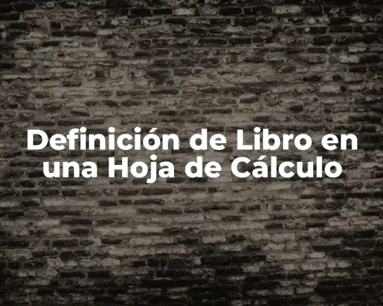 Definición de Libro en una Hoja de Cálculo