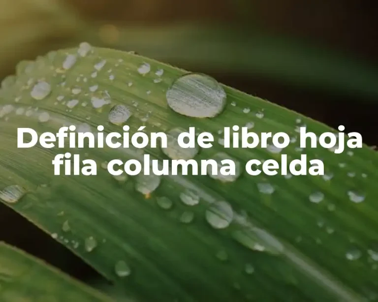 Definición de libro hoja fila columna celda