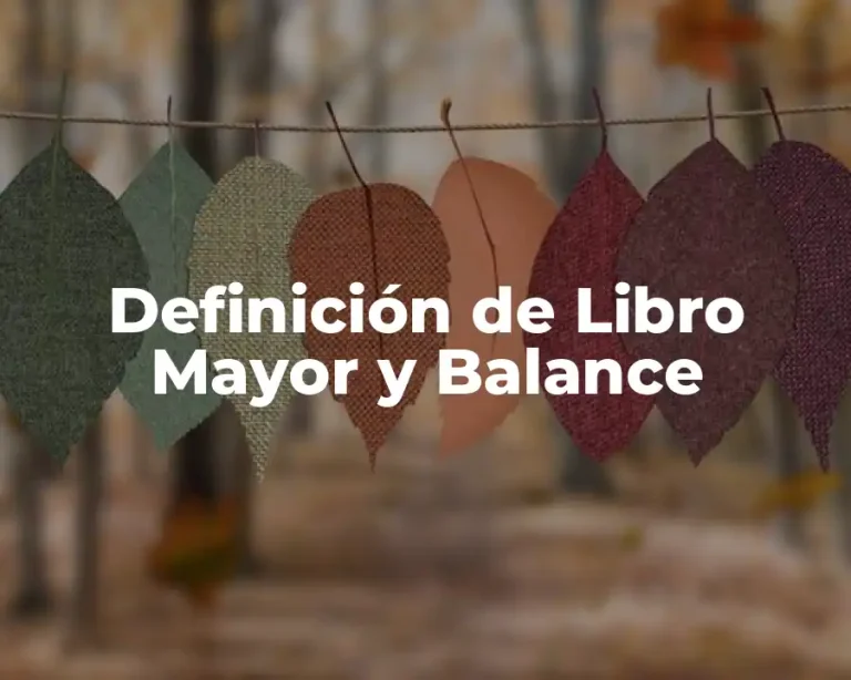 Definición de Libro Mayor y Balance