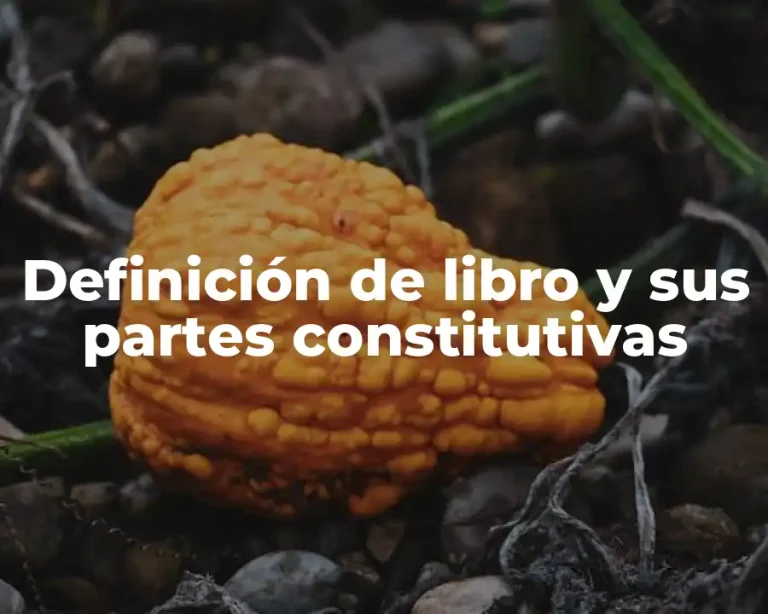 Definición de libro y sus partes constitutivas
