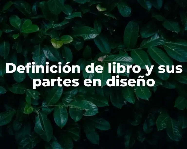 Definición de libro y sus partes en diseño