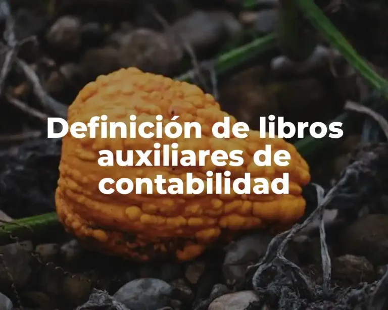 Definición de libros auxiliares de contabilidad