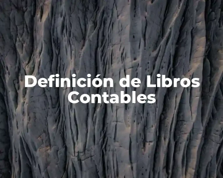 Definición de Libros Contables