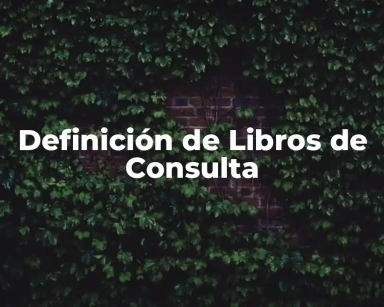 Definición de Libros de Consulta
