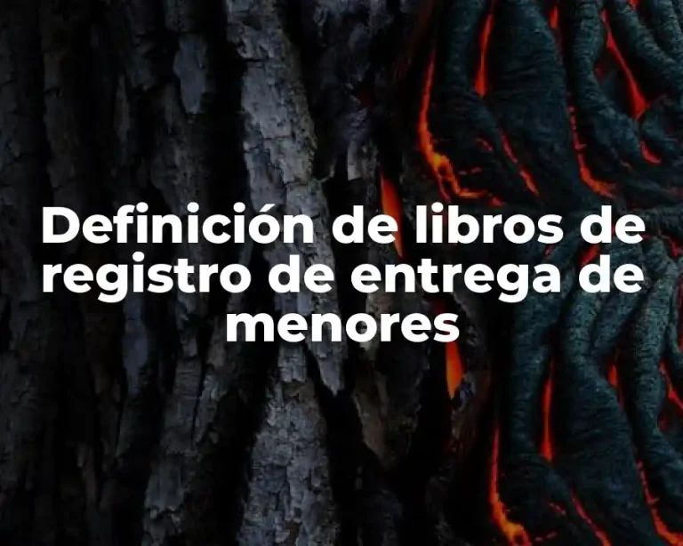 Definición de libros de registro de entrega de menores