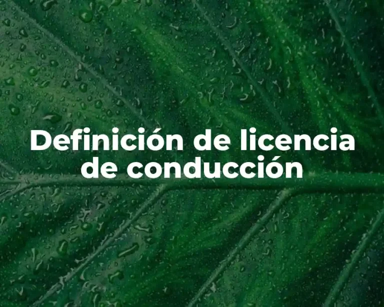 Definición de licencia de conducción