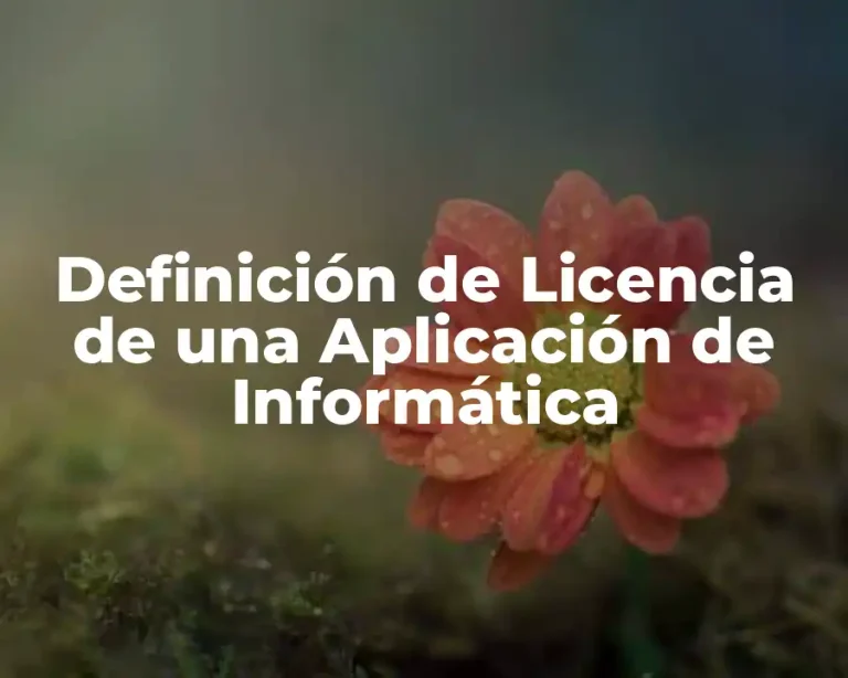 Definición de Licencia de una Aplicación de Informática