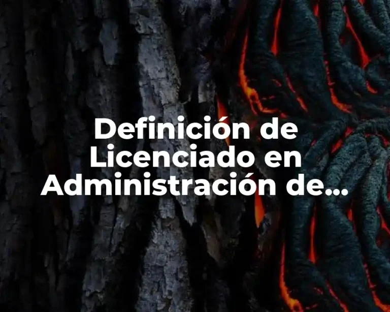 Definición de Licenciado en Administración de Empresas