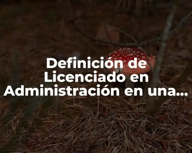 Definición de Licenciado en Administración en una empresa