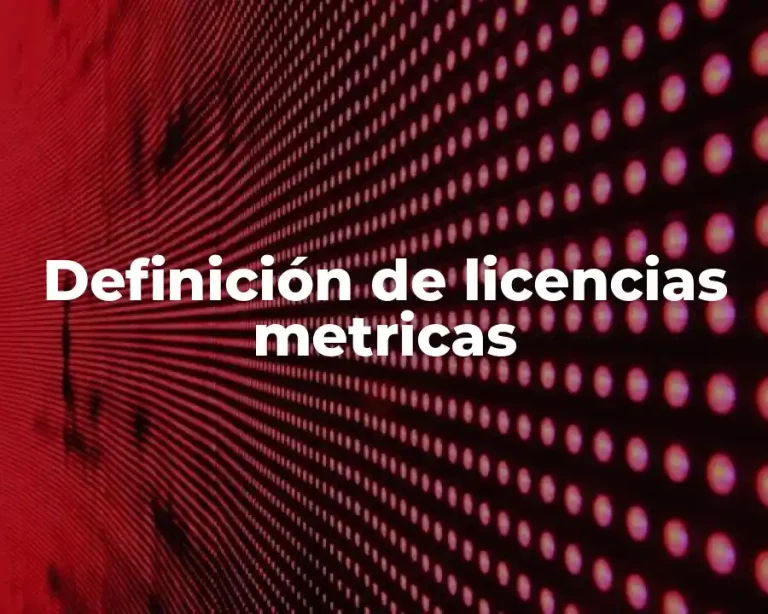 Definición de licencias metricas