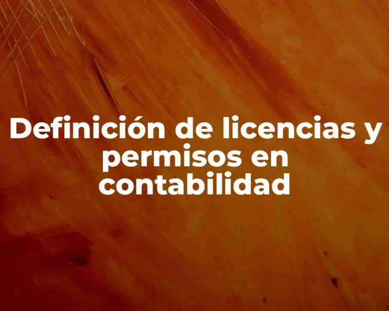 Definición de licencias y permisos en contabilidad