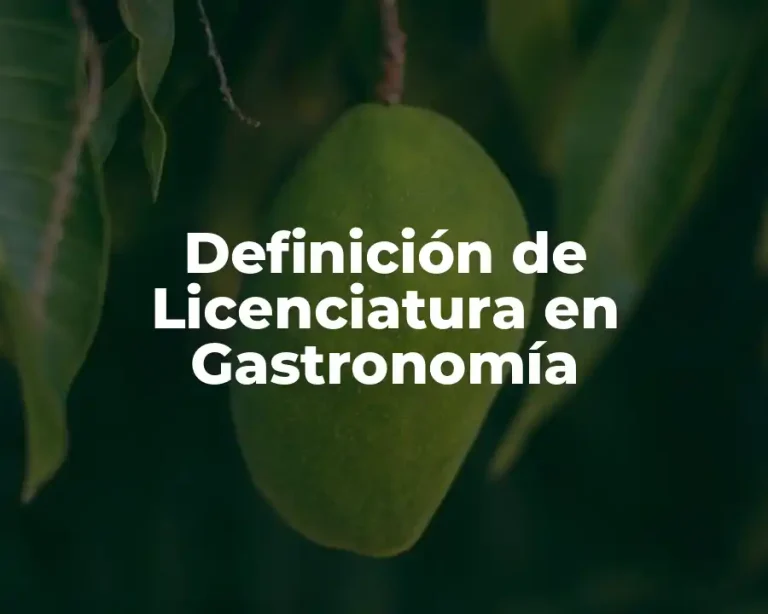 Definición de Licenciatura en Gastronomía