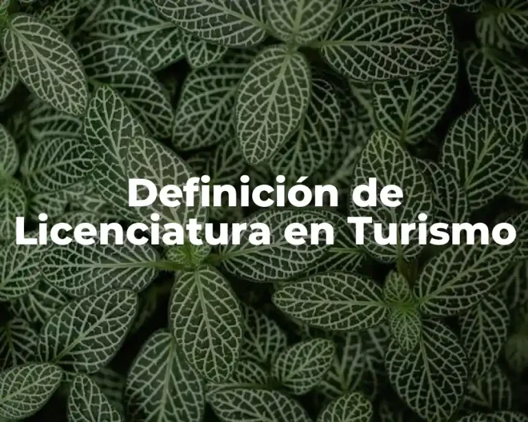 Definición de Licenciatura en Turismo