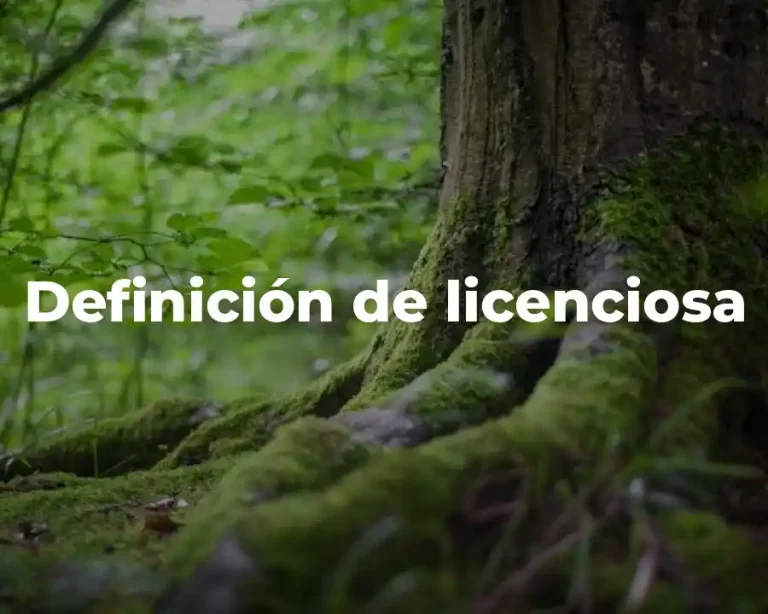 Definición de licenciosa