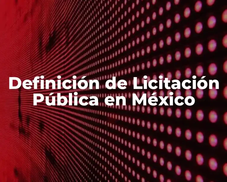 Definición de Licitación Pública en México