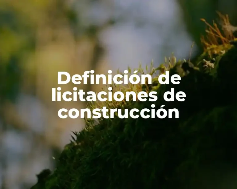 Definición de licitaciones de construcción