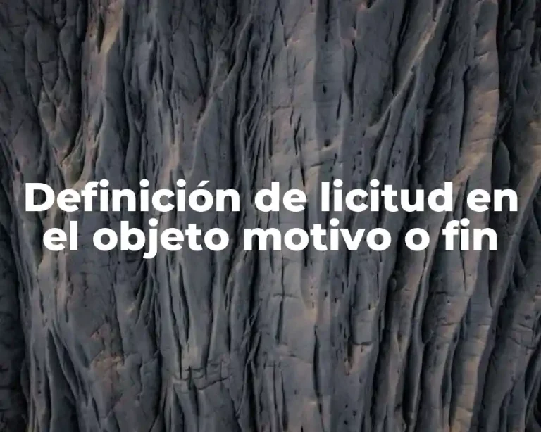 Definición de licitud en el objeto motivo o fin