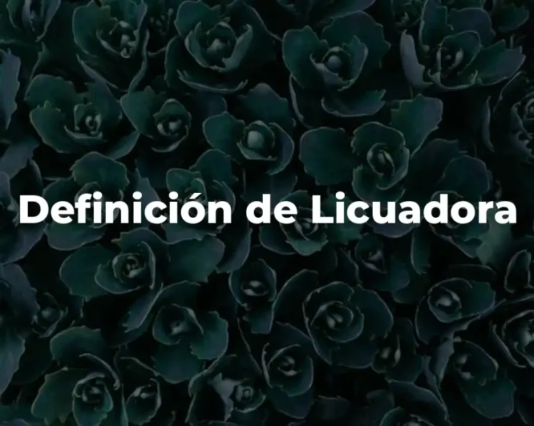 Definición de Licuadora