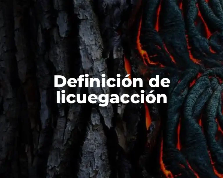 Definición de licuegacción