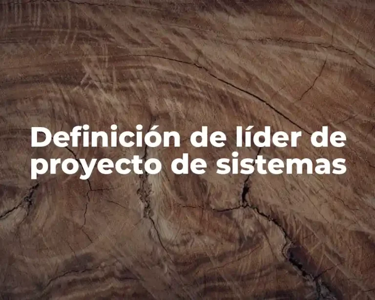 Definición de líder de proyecto de sistemas