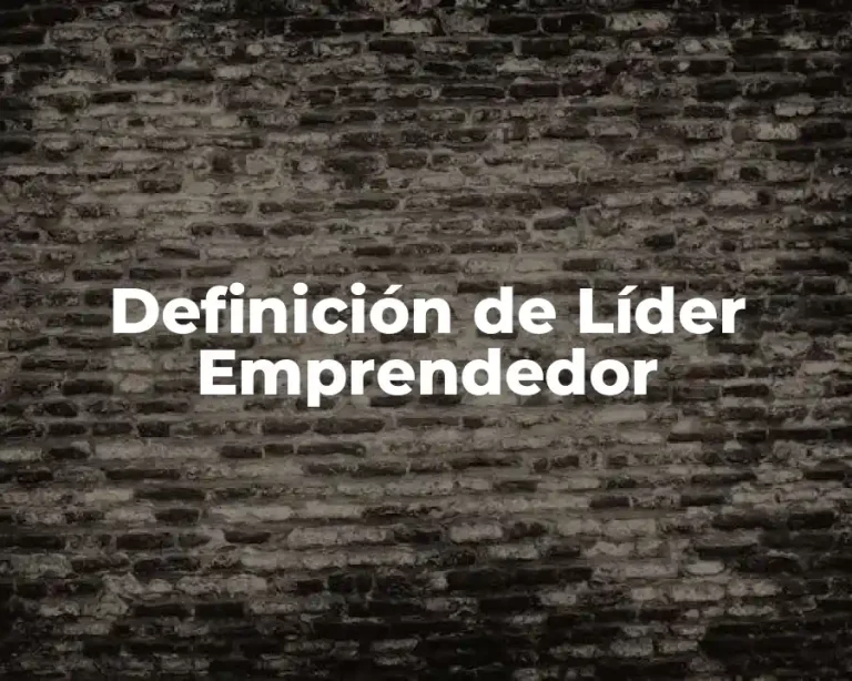 Definición de Líder Emprendedor