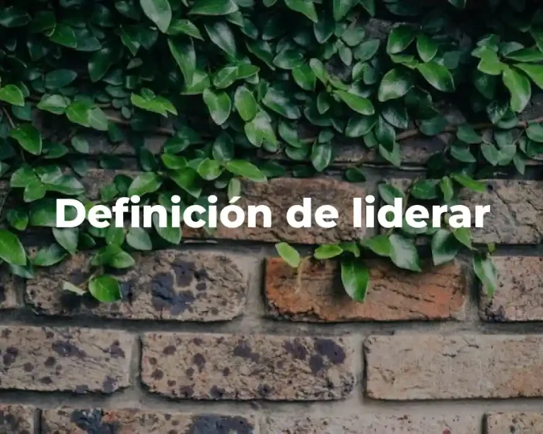 Definición de liderar