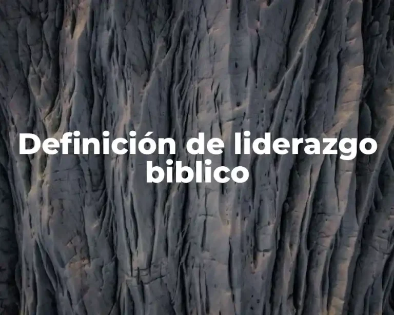 Definición de liderazgo biblico