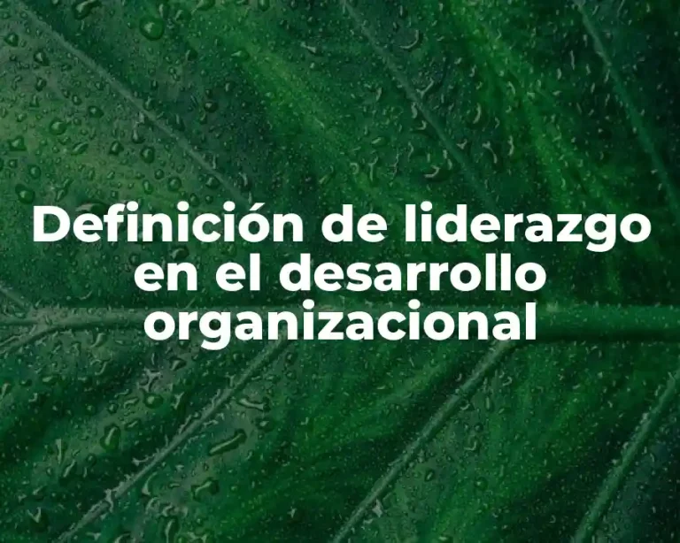 Definición de liderazgo en el desarrollo organizacional