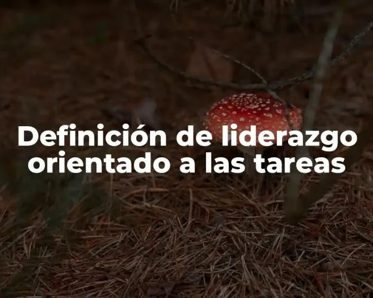 Definición de liderazgo orientado a las tareas