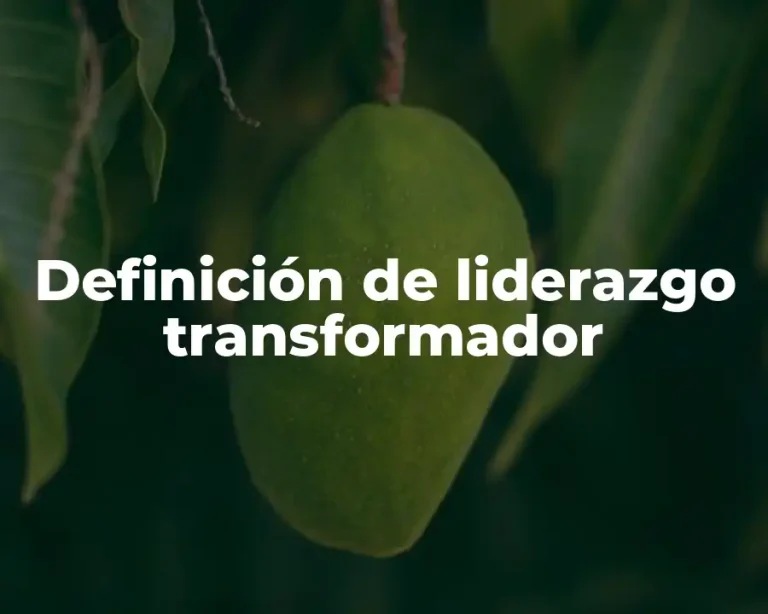 Definición de liderazgo transformador