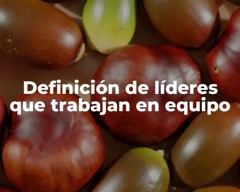 Definición de líderes que trabajan en equipo