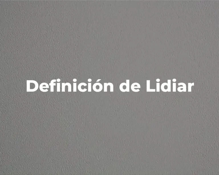 Definición de Lidiar