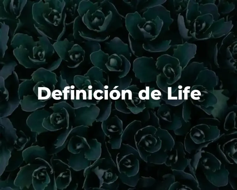 Definición de Life