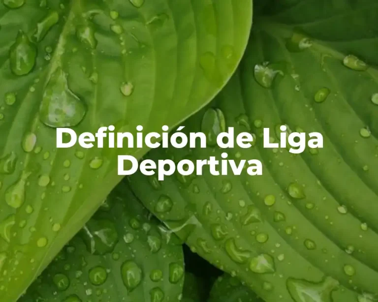 Definición de Liga Deportiva