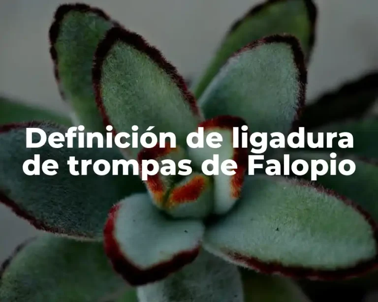 Definición de ligadura de trompas de Falopio