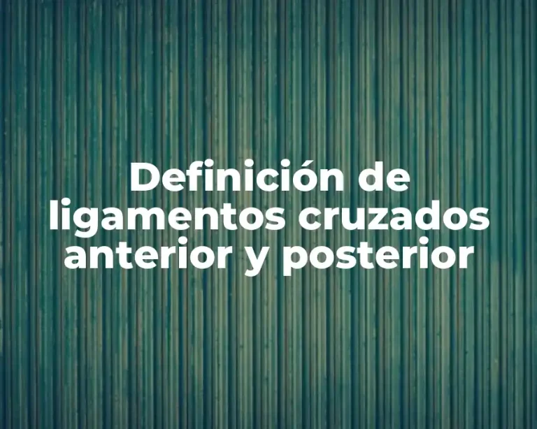 Definición de ligamentos cruzados anterior y posterior