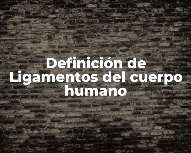 Definición de Ligamentos del cuerpo humano