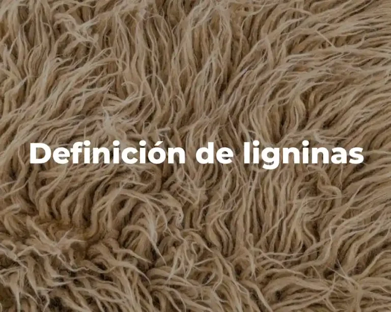 Definición de ligninas