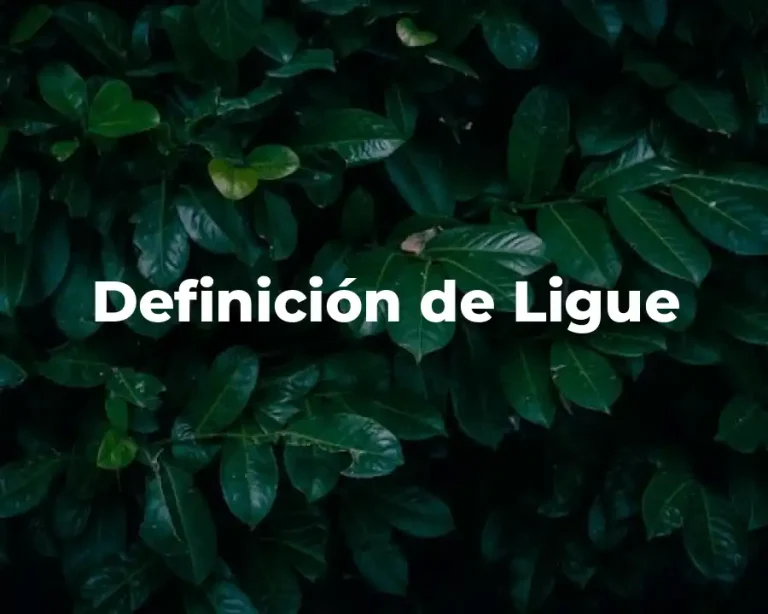 Definición de Ligue