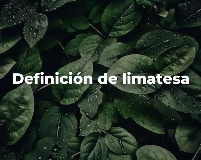 Definición de limatesa