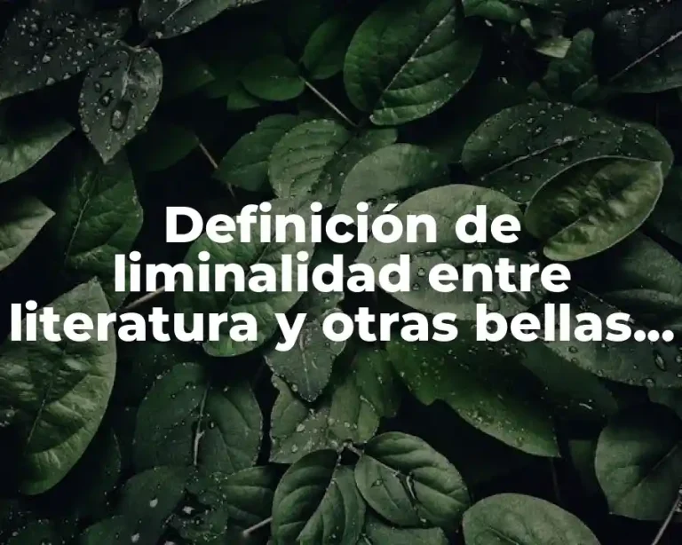 Definición de liminalidad entre literatura y otras bellas artes