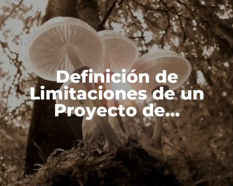 Definición de Limitaciones de un Proyecto de Investigación